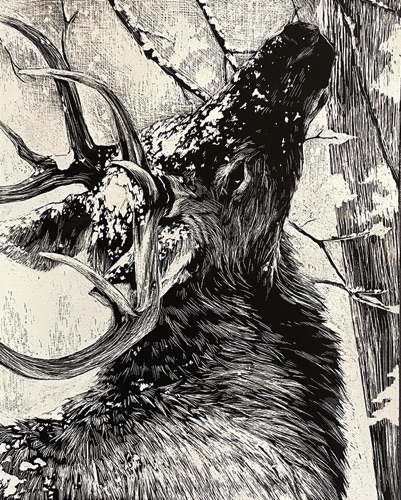 Drawing I : Sonja Kamerling